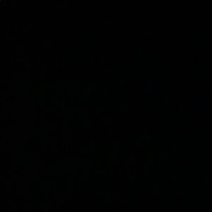 Meet your Posher, Amiya